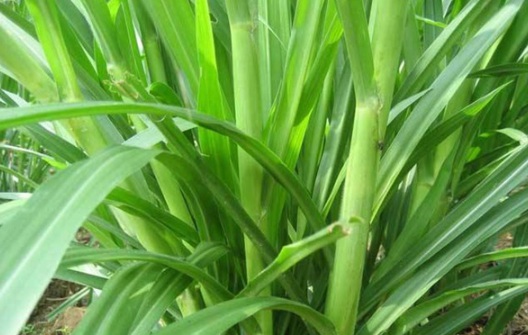 1632289772429153.jpg image.jpg