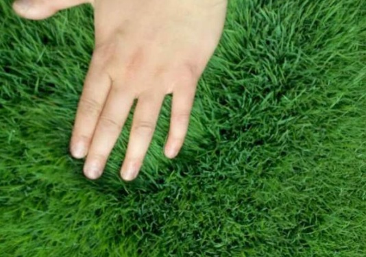 1632289986137274.jpg image.jpg