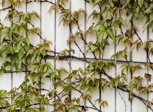 1632290138148991.jpg 1632290138148991.jpg