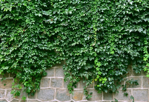 1632290153390605.jpg 1632290153390605.jpg