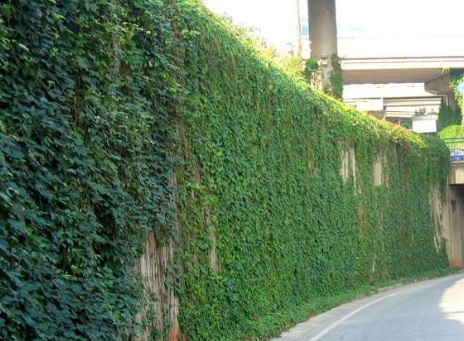 1632290164752248.jpg 1632290164752248.jpg