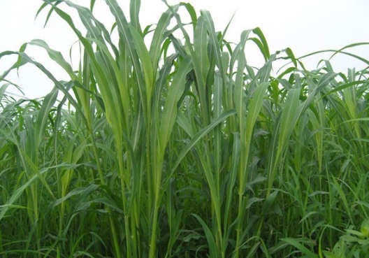 1632294636574246.jpg image.jpg