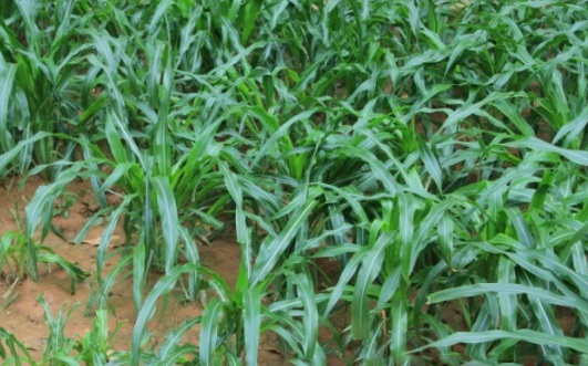 1632294647605410.jpg image.jpg