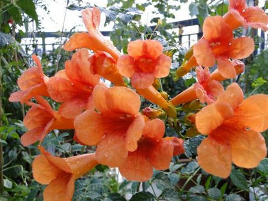 u=2460072126,1381780428&fm=173&app=25&f=JPEG.jpg u=2460072126,1381780428&fm=173&app=25&f=JPEG.jpg