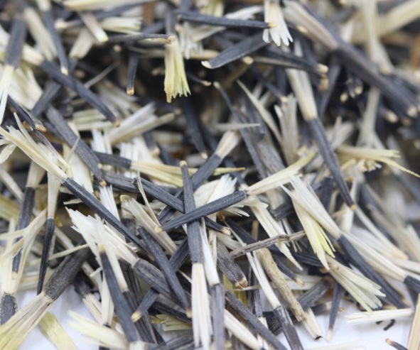 1632363917504487.jpg image.jpg