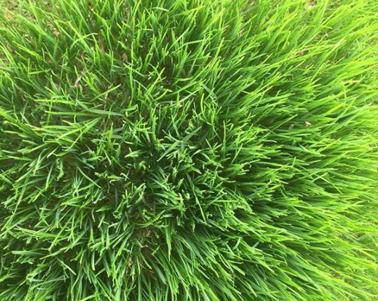 1632364054461878.jpg image.jpg