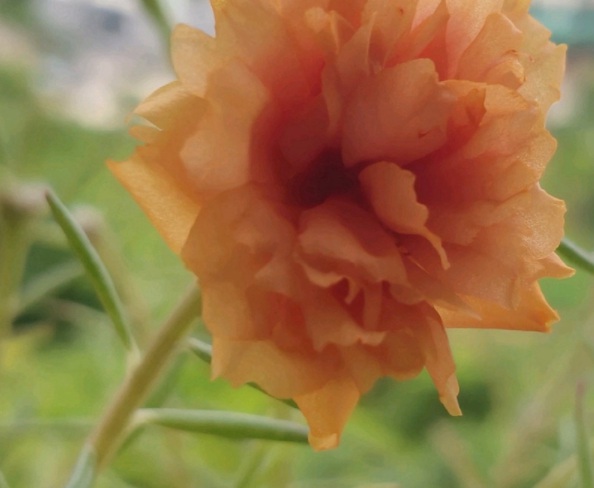 1632364876328476.jpg image.jpg