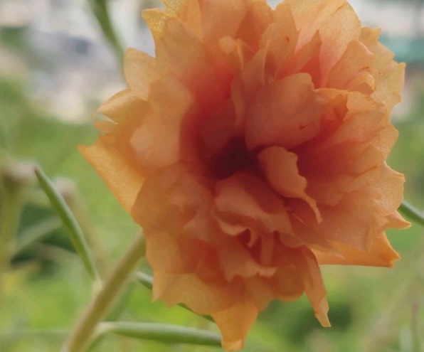 1632365811397214.jpg image.jpg