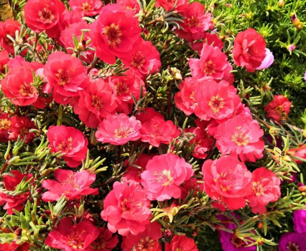 1632366968101120.jpg image.jpg