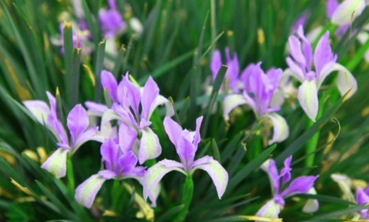 1632377466779960.jpg image.jpg