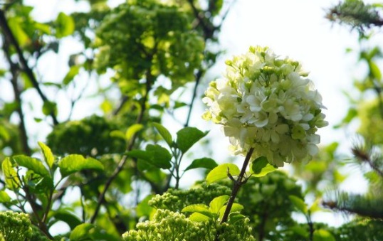 1632377722149708.jpg image.jpg