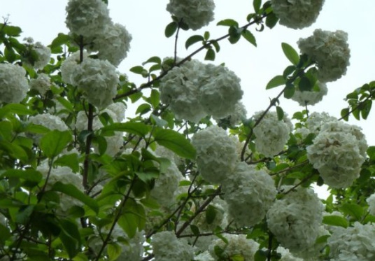 1632377731991483.jpg image.jpg