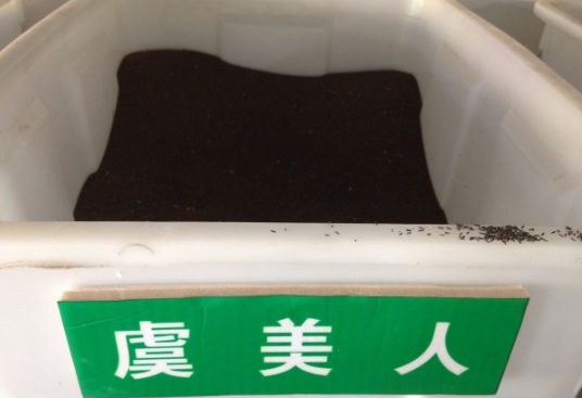 1632377819662442.jpg image.jpg