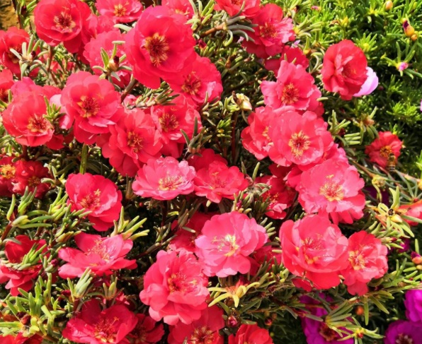 1632378520551521.jpg image.jpg