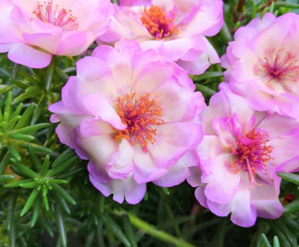 1632378808944870.jpg image.jpg