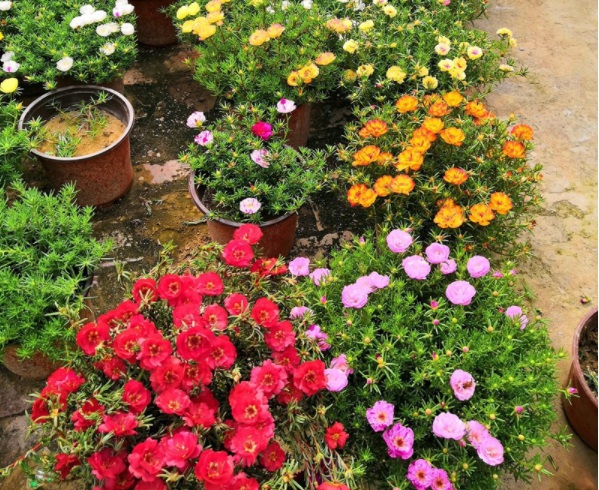 1632379724153944.jpg image.jpg