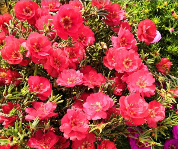 1632379990570600.jpg image.jpg