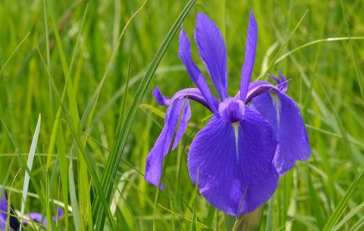 1632380134876767.jpg image.jpg