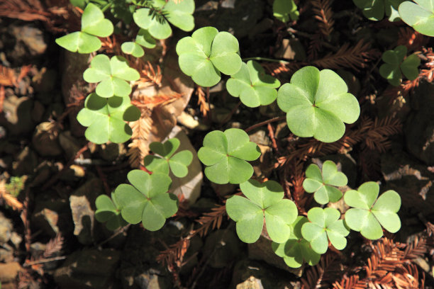 1632395997780329.jpg 1632395997780329.jpg