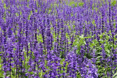 1632398104531499.jpg 1632398104531499.jpg