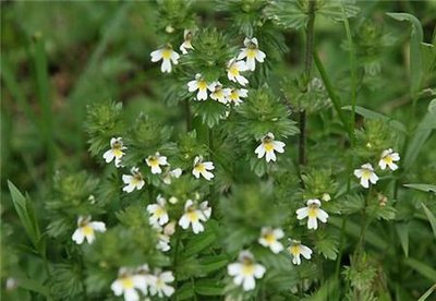 1632398592803227.jpg 1632398592803227.jpg