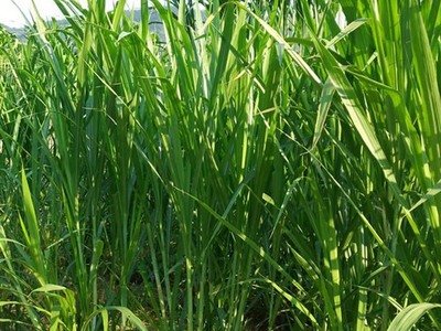 1632399166346553.jpg 1632399166346553.jpg