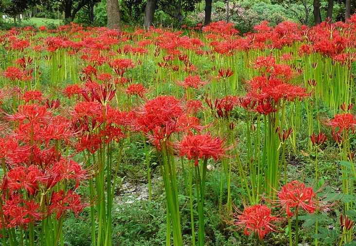 1632409271406793.jpg 1632409271406793.jpg