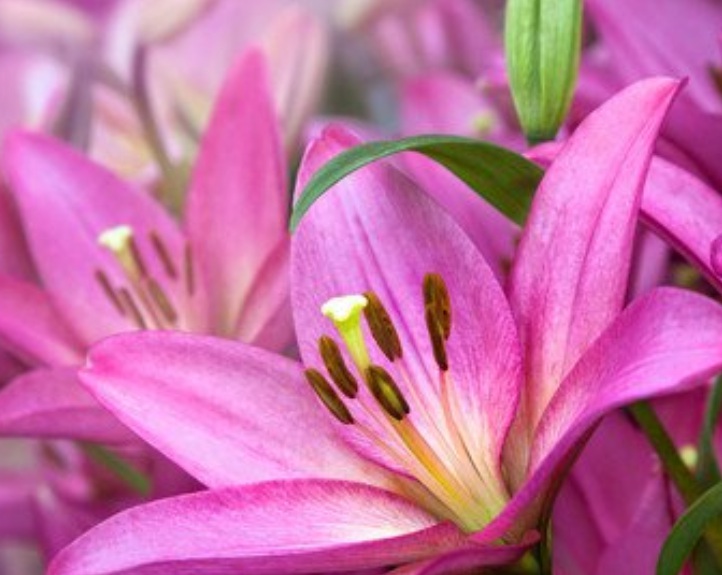 1632409294987207.jpg 1632409294987207.jpg