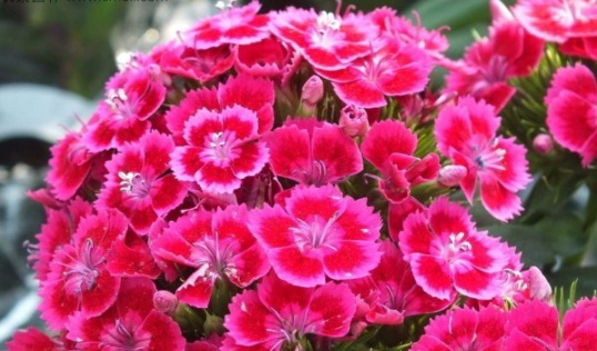 1632450021997424.jpg image.jpg