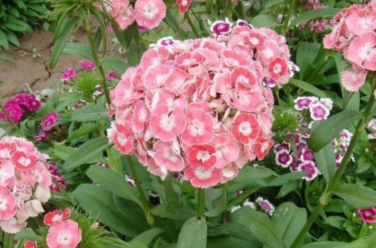 1632450034924465.jpg image.jpg