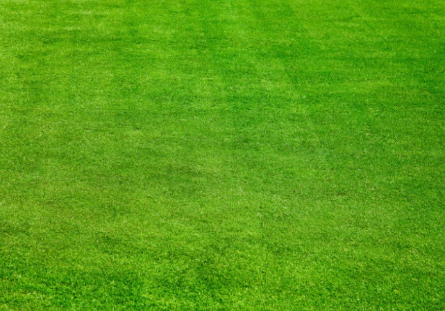 1632453304232842.jpg 1632453304232842.jpg