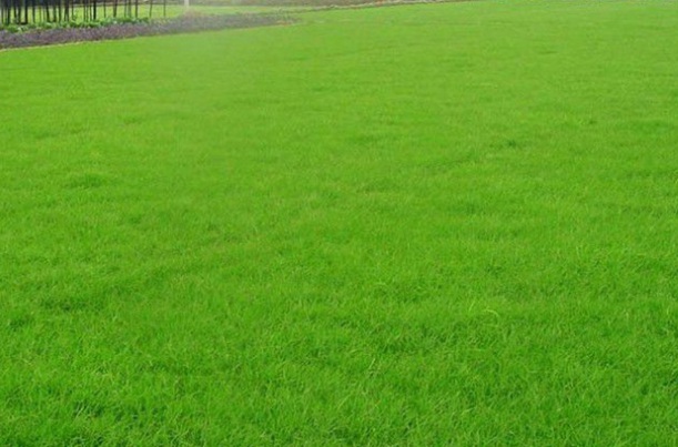 1632453337537830.jpg 1632453337537830.jpg