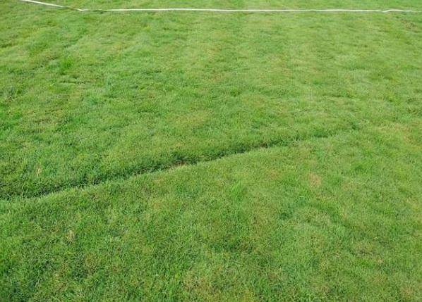 1632453688601516.jpg image.jpg