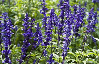 1632481579468887.jpg 1632481579468887.jpg