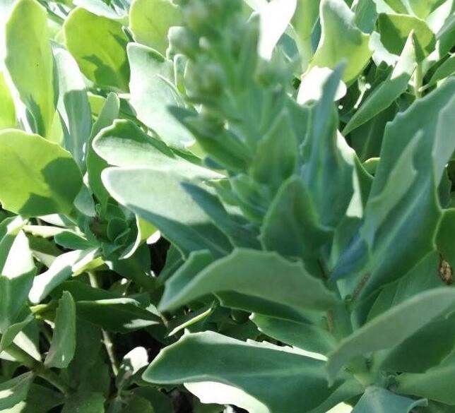 1632490286842305.jpg 1632490286842305.jpg