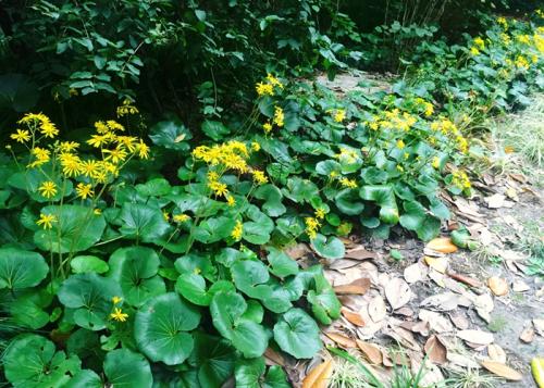 1632567308255139.jpg 1632567308255139.jpg