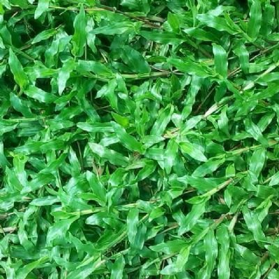 1632567699922746.jpg 1632567699922746.jpg