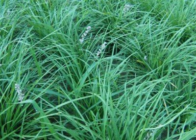 1632568627824835.jpg 1632568627824835.jpg