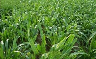 1632568903763032.jpg 1632568903763032.jpg