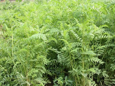 1632569681787820.jpg 1632569681787820.jpg