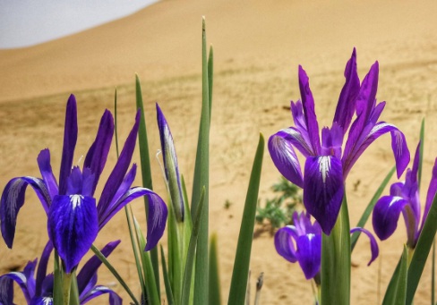 1632579181502354.jpg image.jpg