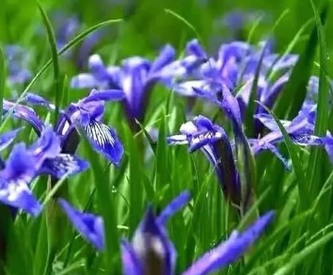 1632579194358958.jpg image.jpg