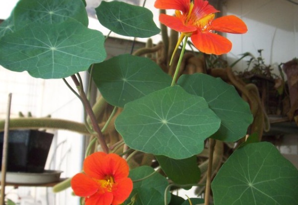 1632580886819915.jpg image.jpg