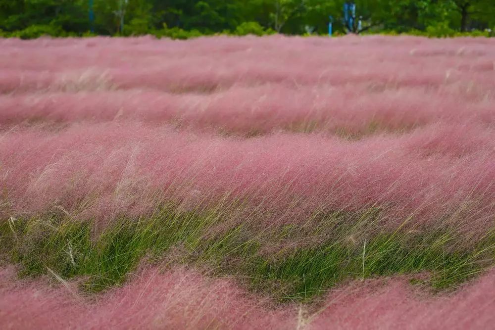 1632650771945247.jpeg 1632650771945247.jpeg