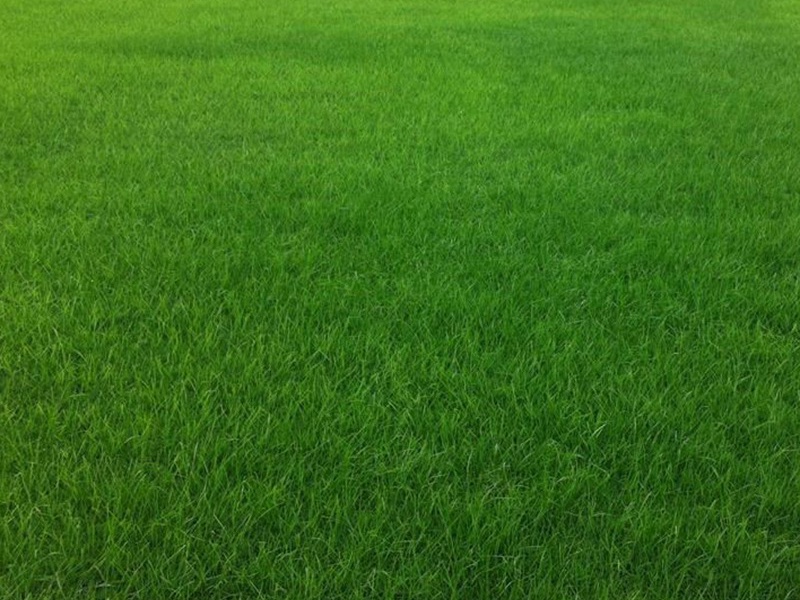 1632667754856117.jpg f3a9b5de70e371677c121a19b53205d1_1591075612913879.jpg