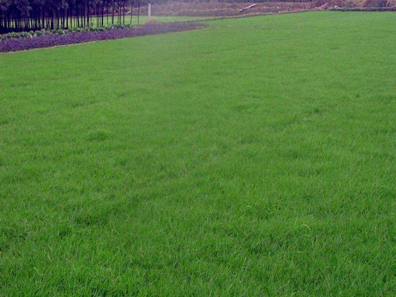 1632668036637694.jpg d65919354c79cc285cd446c15cd8b2fe_1591079337147595.jpg