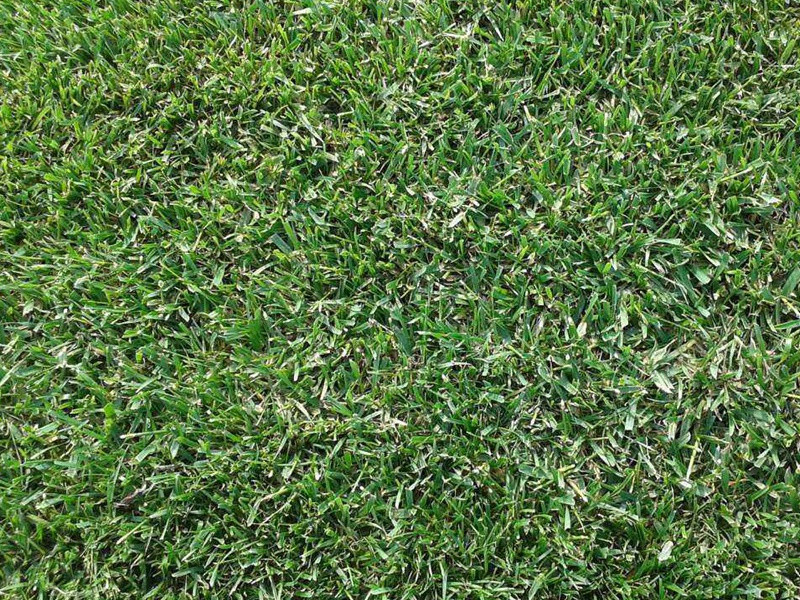 1632669469562303.jpg 70e7c4f3b138ca876d112fa47cb8a46d_1591075767111383.jpg