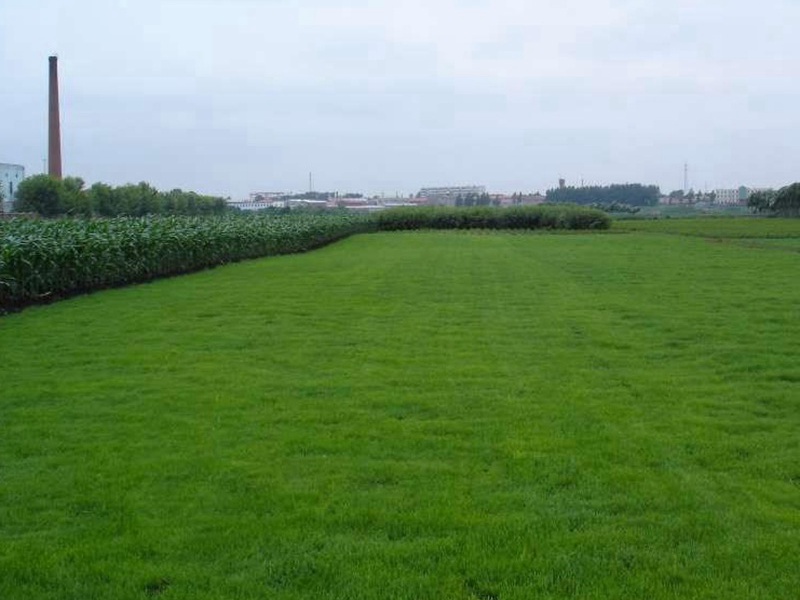 1632670293292926.jpg 9cfc90be618abaea85f3d7145ceb8e08_1591067708781218.jpg