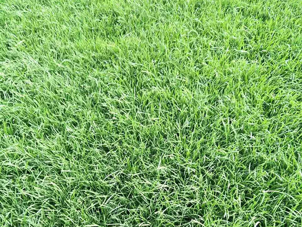 1632720755463146.jpg 7b4d5b61b99d87083666a4d48cbc2bbb_1527301520525439.jpg