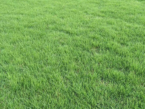 1632721874395182.jpg 85f1313adf88f9a3dbd738d32dcb19eb_1527301520819987.jpg